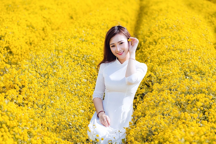 Vườn cúc chi Ninh Bình là vườn hoa cúc ở Việt Nam đẹp và nổi tiếng