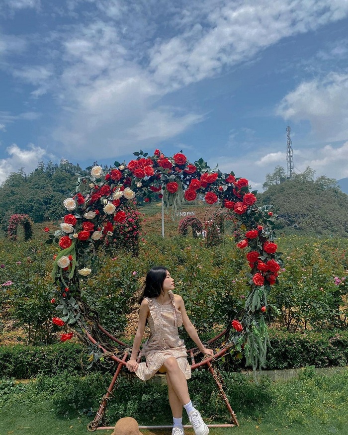 Thung lũng hoa hồng Sapa là một trong những vườn hoa hồng đẹp nhất Việt Nam