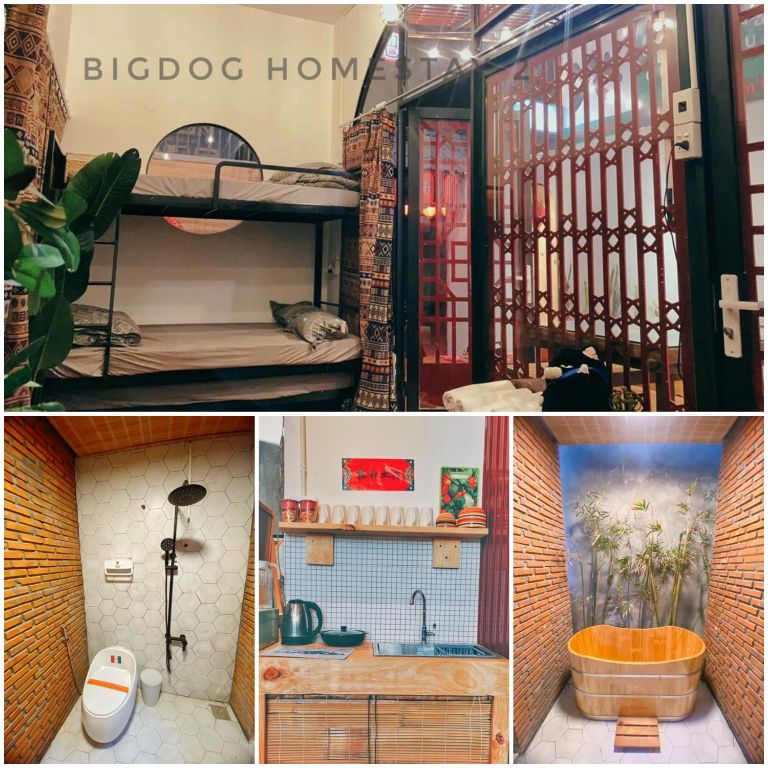 BigDog | Homestay Ninh Thuận