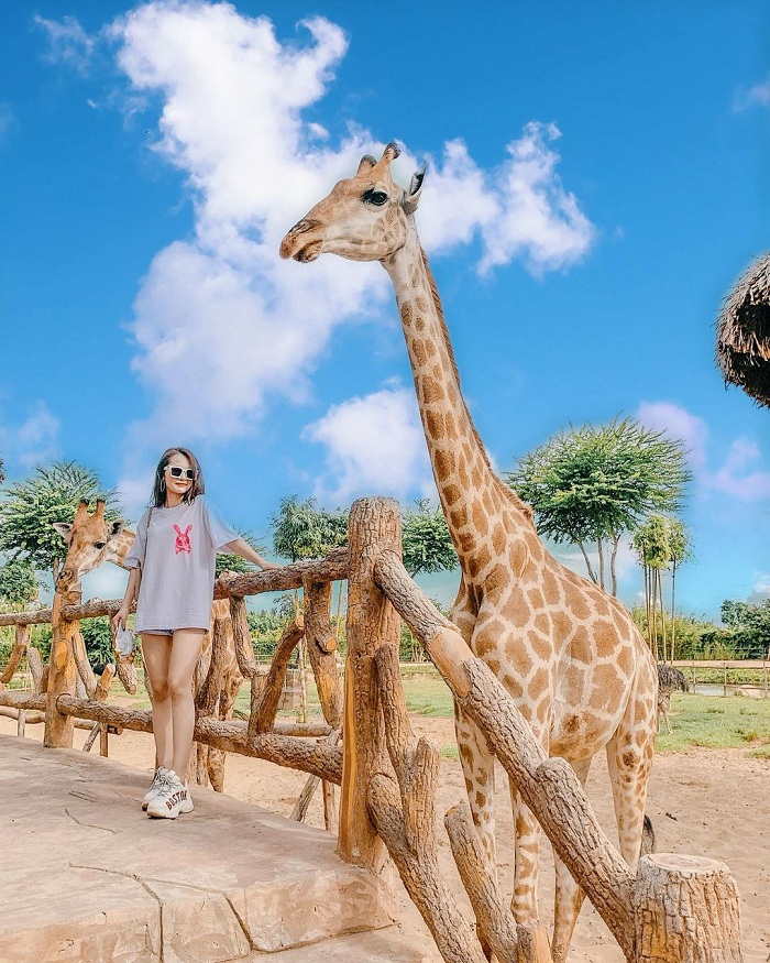 Safari Nam Hội An là vườn thú Safari ở Việt Nam được nhiều người yêu thích