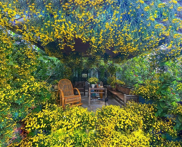 Khu vườn hoa ngập tràn sắc màu trên sân thượng của chị Thúy