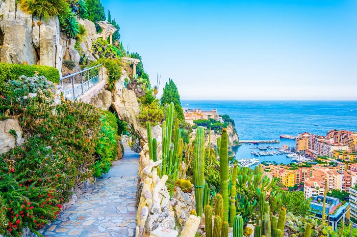 Khu vườn này dành riêng cho các loài xương rồng và cây mọng nước du lịch Monte Carlo
