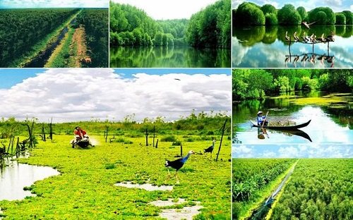 Kinh nghiệm du lịch rừng U Minh Hạ chi tiết giá vé 2019-1