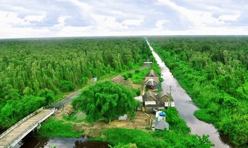 Kinh nghiệm du lịch rừng U Minh Hạ chi tiết giá vé 2019-2