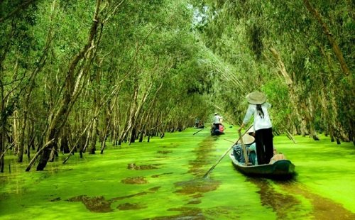 Kinh nghiệm du lịch rừng U Minh Hạ chi tiết giá vé 2019-5