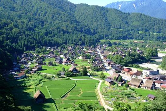Khung cảnh nên thơ và yên bình của làng Shirakawa-go vào mùa hè. Ảnh: Ban xúc tiến chiến lược nước ngoài tỉnh Gifu
