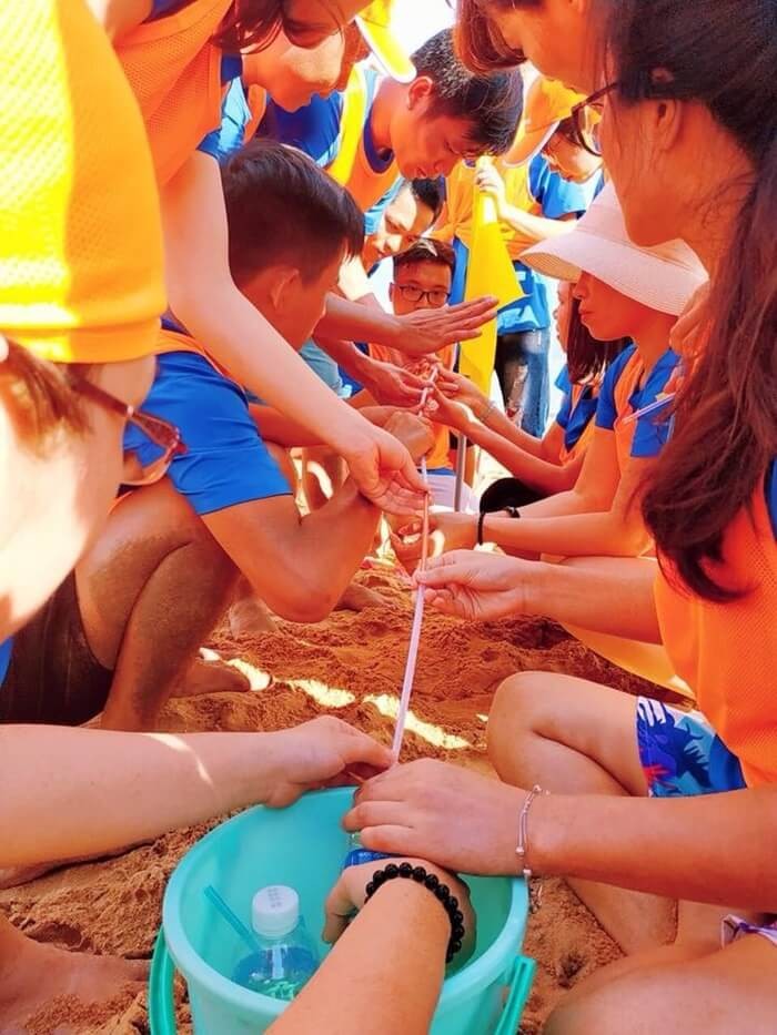 Khu du lịch Cửa Biển Quy Nhơn - tổ chức hoạt động vui chơi