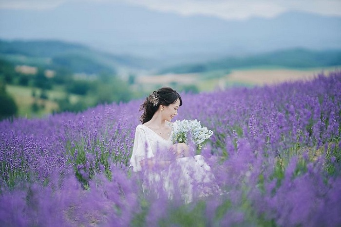 Furano là cánh đồng hoa oải hương đẹp trên thế giới