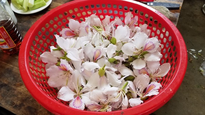 mùa hoa ban ở Mộc Châu