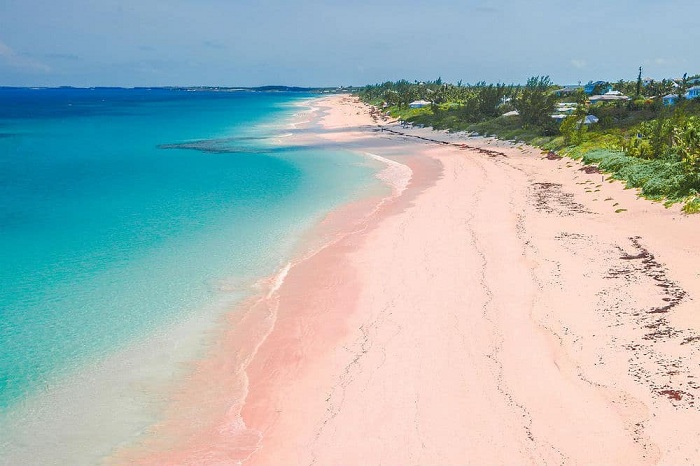Pink Sand là một trong những bãi biển lãng mạn trên thế giới
