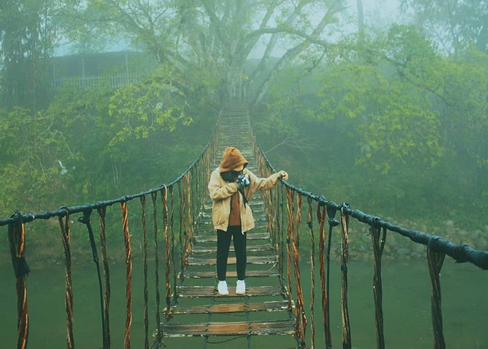 Cầu treo Tả Van là cây cầu treo ở Việt Nam nổi tiếng