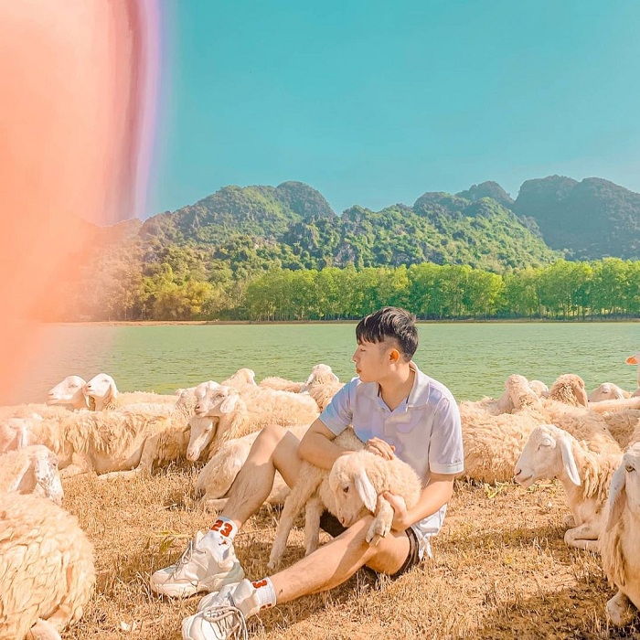 Gia Hưng là đồng cừu đẹp ở Việt Nam