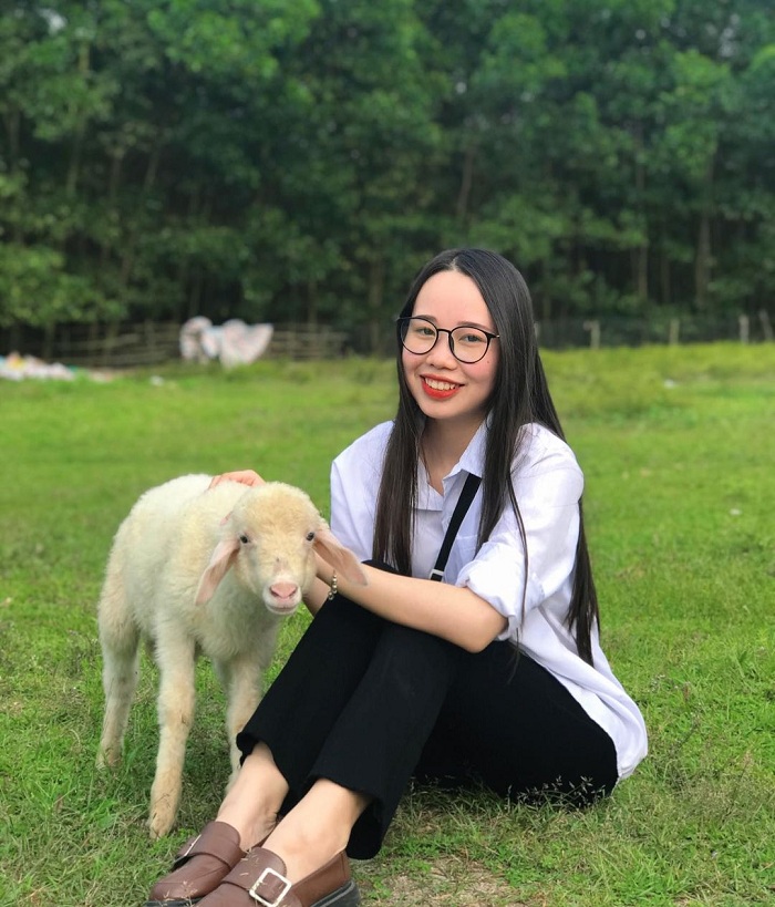 Yên Thành là đồng cừu đẹp ở Việt Nam