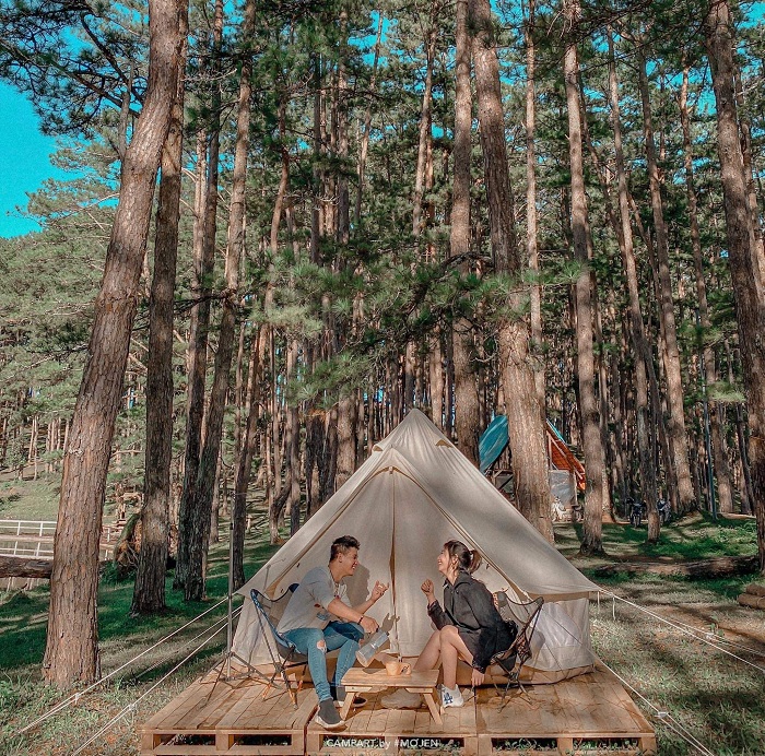 CampArt by Mợ Jen là khu cắm trại view rừng tuyệt đẹp