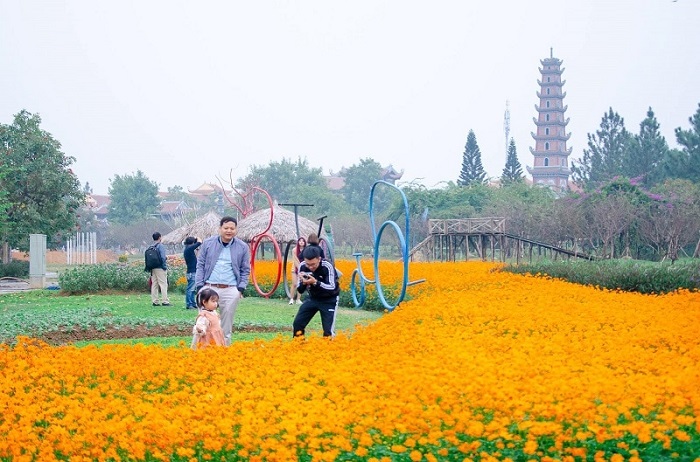Vườn hoa tuyệt đẹp tại khu du lịch sinh thái Đan Phượng Hà Nội