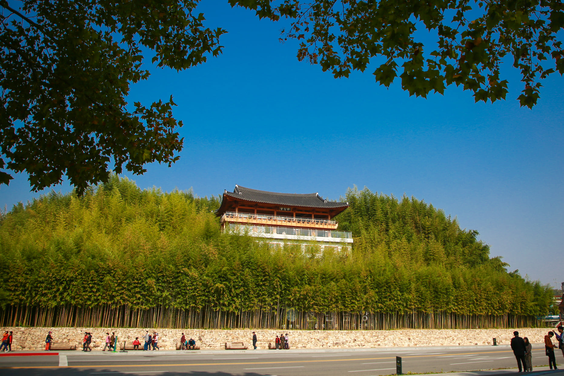 Rừng tre Juknokwon  - Niềm tự hào của thiên nhiên Hàn Quốc - Ảnh 3.