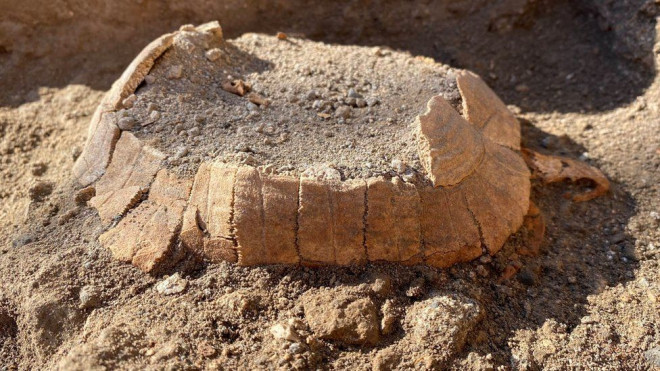 Sinh vật 2.000 tuổi nguyên vẹn và gây choáng váng ở "thành phố hóa đá" - 1