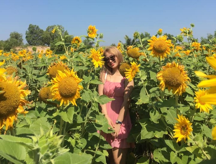nép mình vào hoa - dáng chụp với Vườn Hoa Mặt Trời ở Bình Thuận 