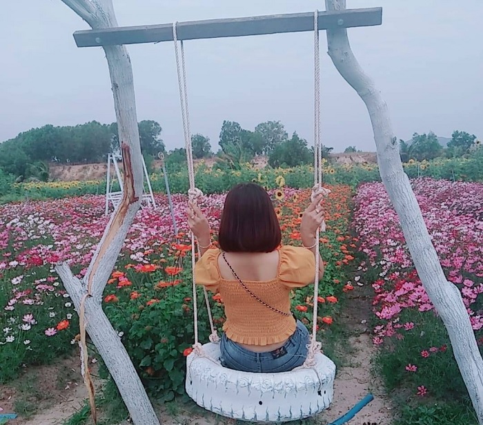 tiểu cảnh - góc sống ảo tại Vườn Hoa Mặt Trời ở Bình Thuận 