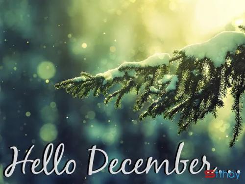 Status chào tháng 12 ta cảm thấy chông chênh giữ những ngày lạnh cuối năm
