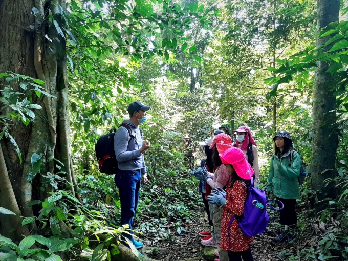 Những du khách nhỏ tuổi được bố mẹ cho tham gia tour trekking vườn quốc gia Cúc Phương cuối tuần. Ảnh: Trần Trung Kiên