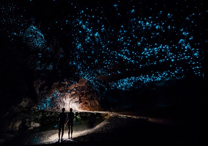 Glowworms - hang động đẹp nhất thế giới