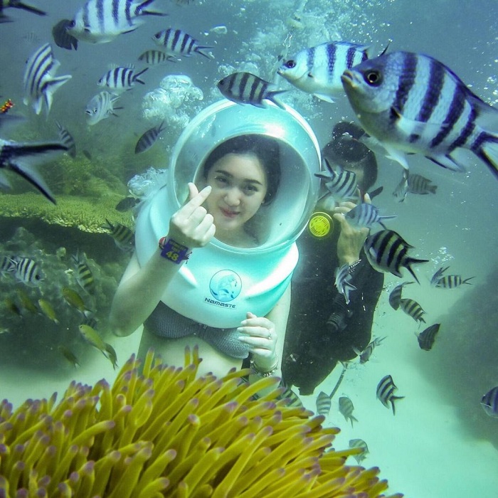 Ngắm san hô là trải nghiệm biển đảo ở Việt Nam tuyệt vời