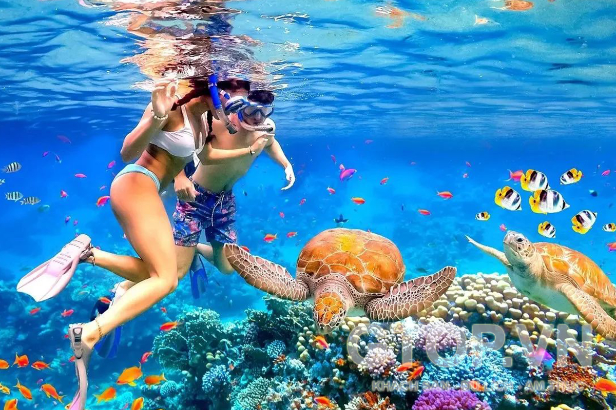 lan-bien-ngam-san-ho-phu-quoc.jpg Lặn biển ngắm san hô tại phú quốc